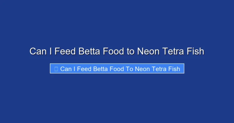 Can I Feed Betta Food to Neon Tetra Fish