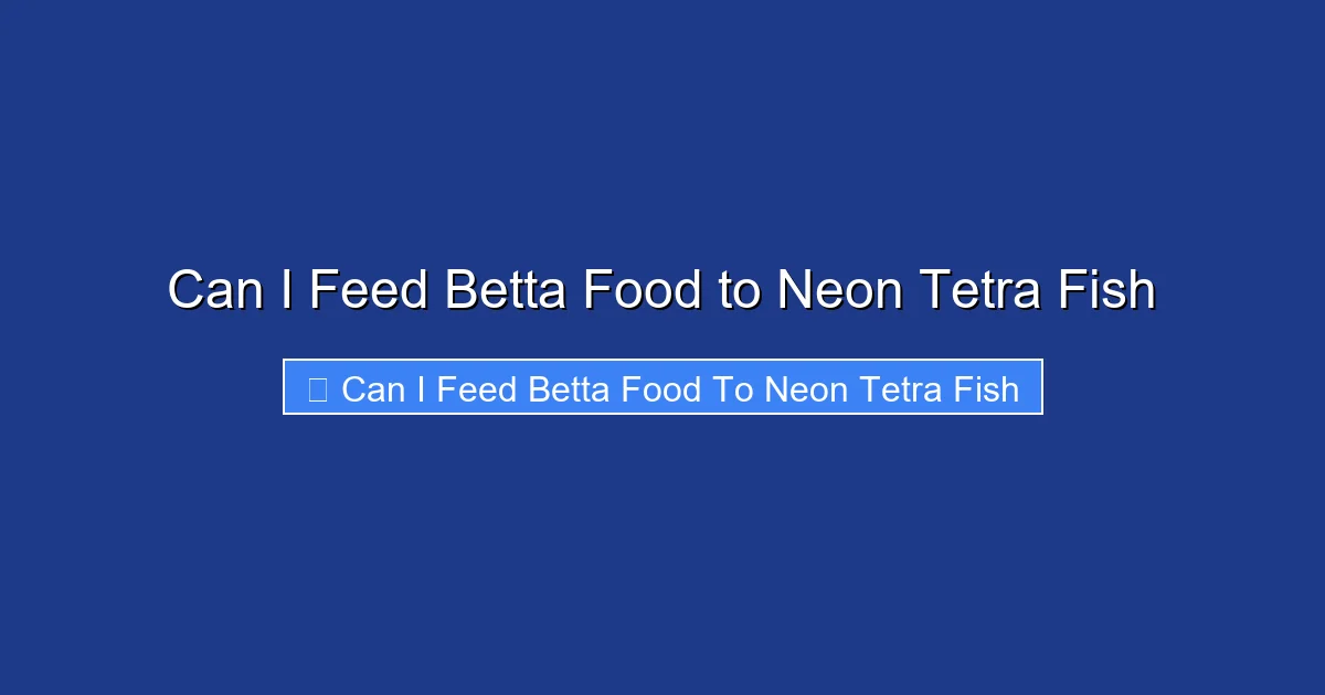 Can I Feed Betta Food to Neon Tetra Fish