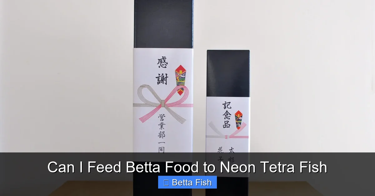 Can I Feed Betta Food to Neon Tetra Fish