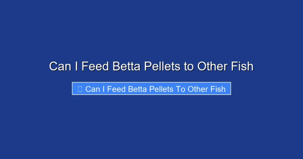 Can I Feed Betta Pellets to Other Fish