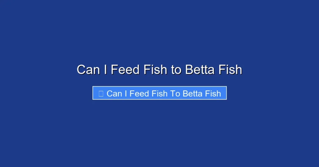 Can I Feed Fish to Betta Fish