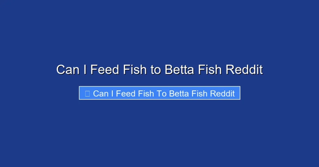 Can I Feed Fish to Betta Fish Reddit