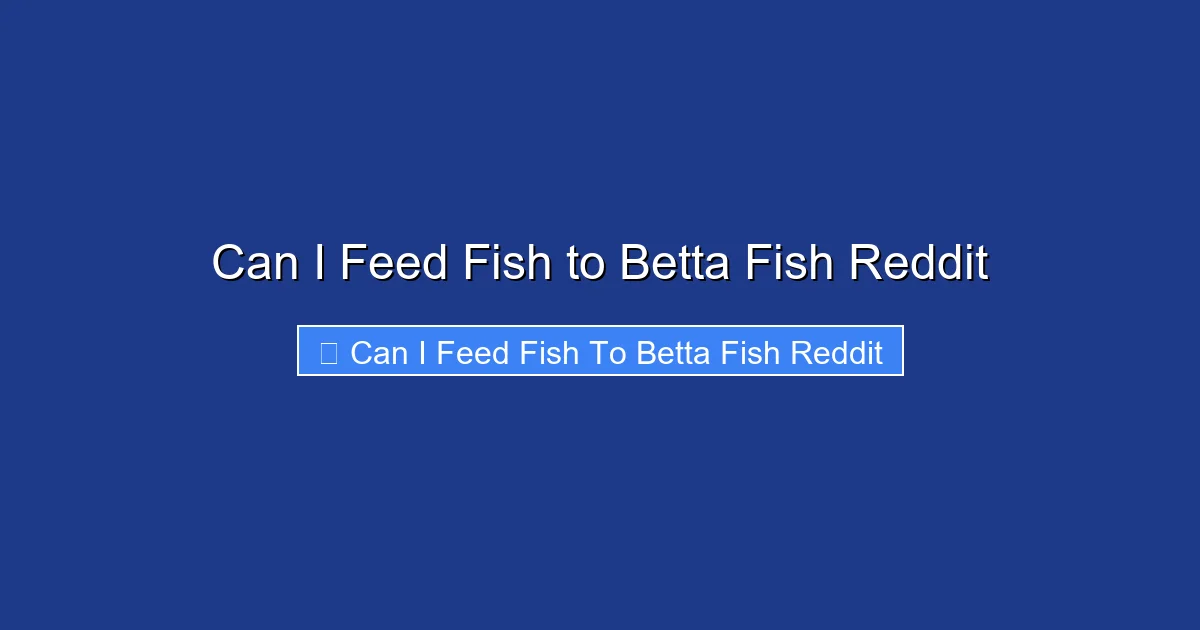 Can I Feed Fish to Betta Fish Reddit