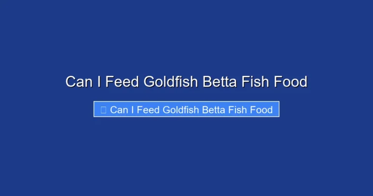 Can I Feed Goldfish Betta Fish Food