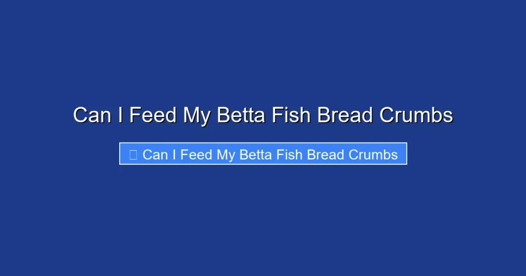 Can I Feed My Betta Fish Bread Crumbs