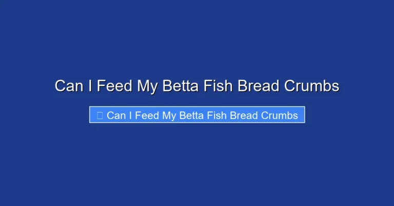 Can I Feed My Betta Fish Bread Crumbs