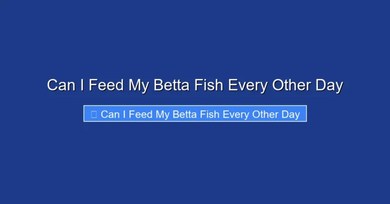 Can I Feed My Betta Fish Every Other Day