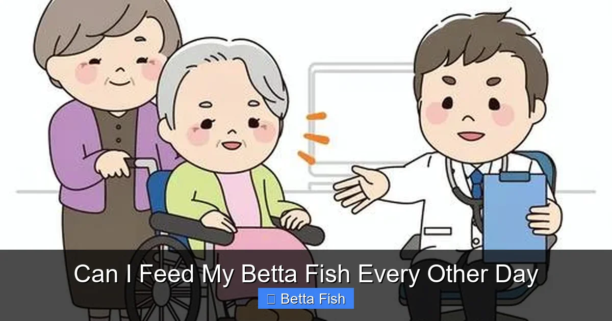 Can I Feed My Betta Fish Every Other Day