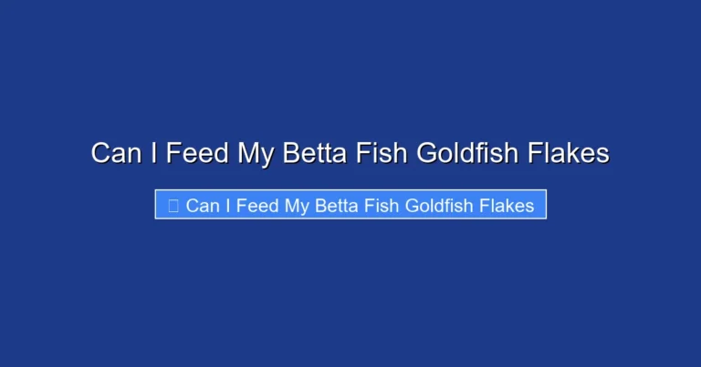 Can I Feed My Betta Fish Goldfish Flakes