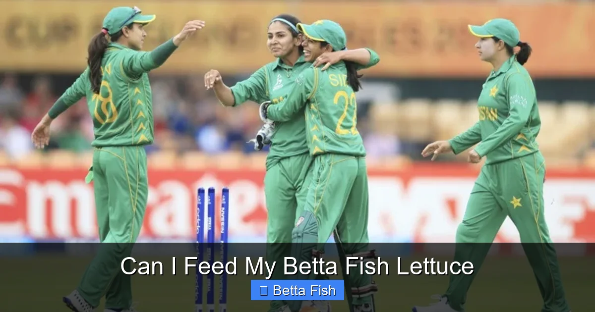 Can I Feed My Betta Fish Lettuce