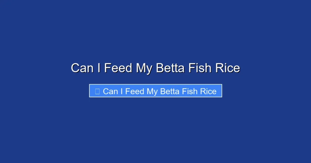 Can I Feed My Betta Fish Rice