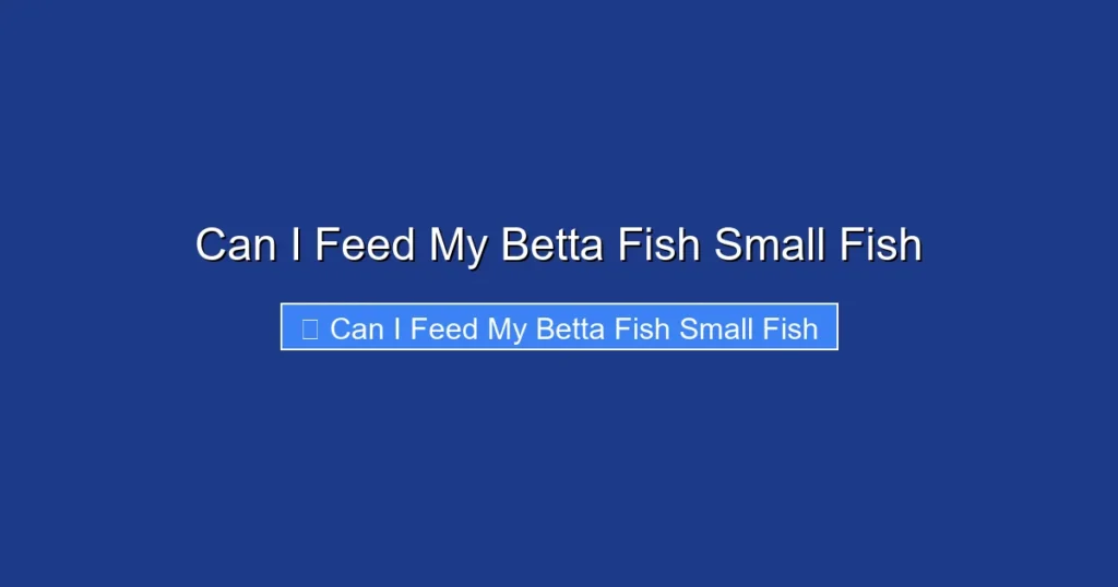 Can I Feed My Betta Fish Small Fish