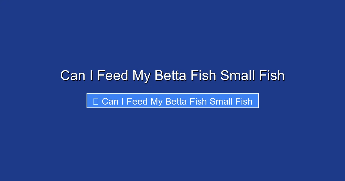 Can I Feed My Betta Fish Small Fish
