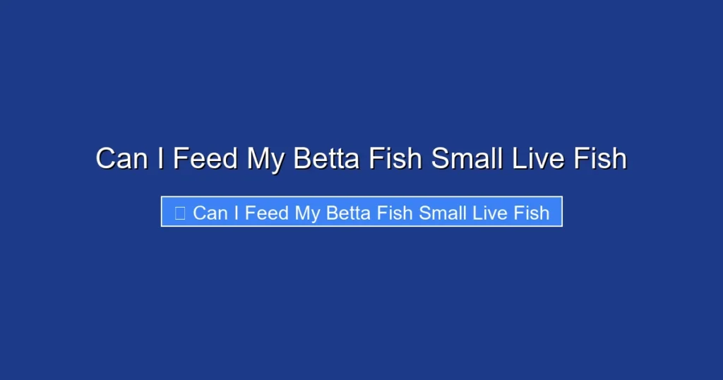 Can I Feed My Betta Fish Small Live Fish