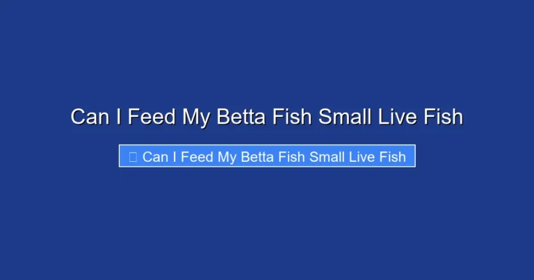 Can I Feed My Betta Fish Small Live Fish