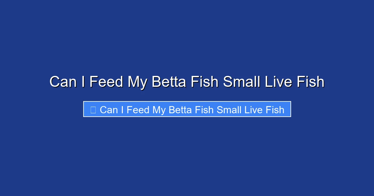 Can I Feed My Betta Fish Small Live Fish