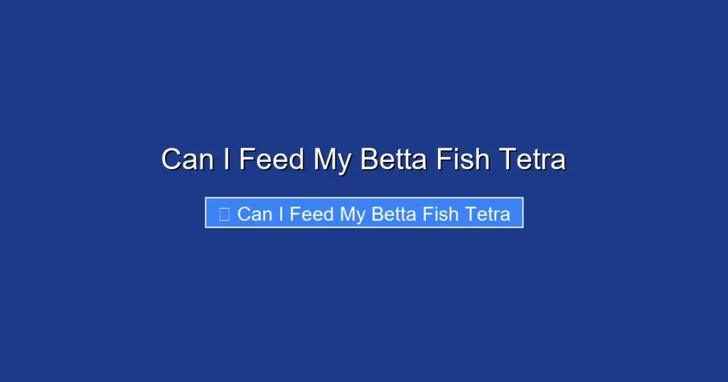 Can I Feed My Betta Fish Tetra