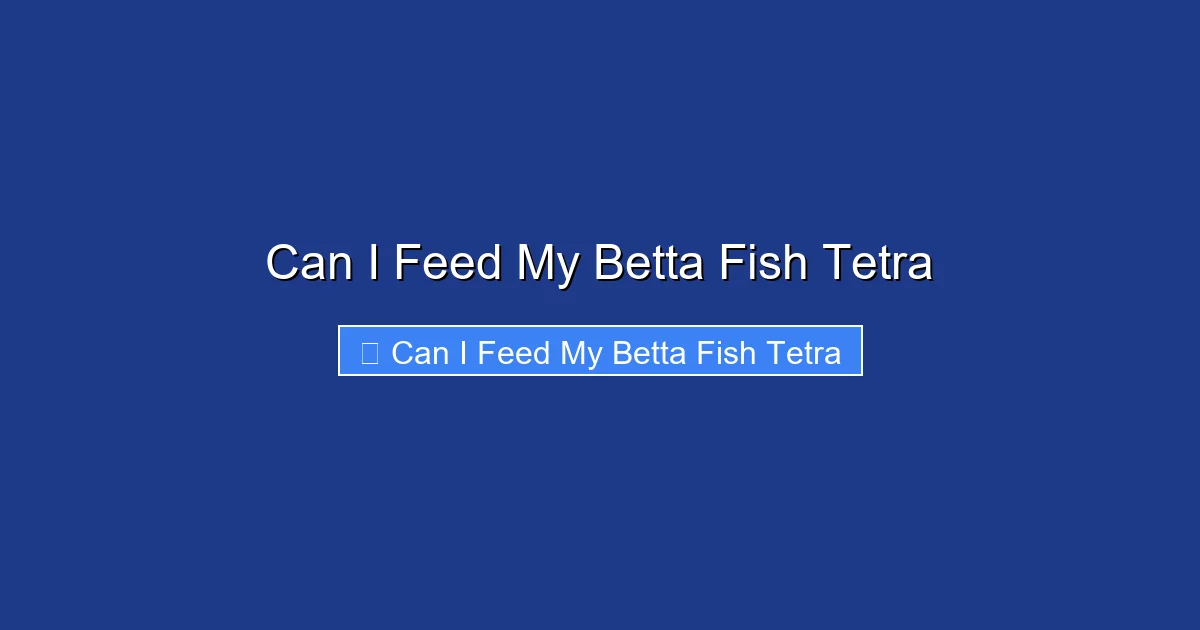 Can I Feed My Betta Fish Tetra