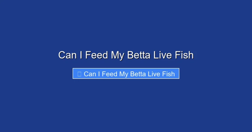 Can I Feed My Betta Live Fish