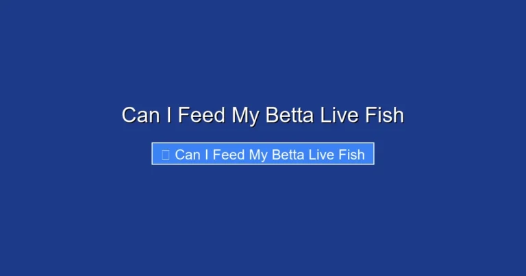 Can I Feed My Betta Live Fish
