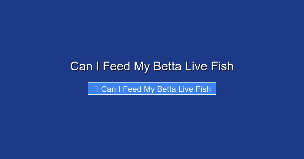 Can I Feed My Betta Live Fish