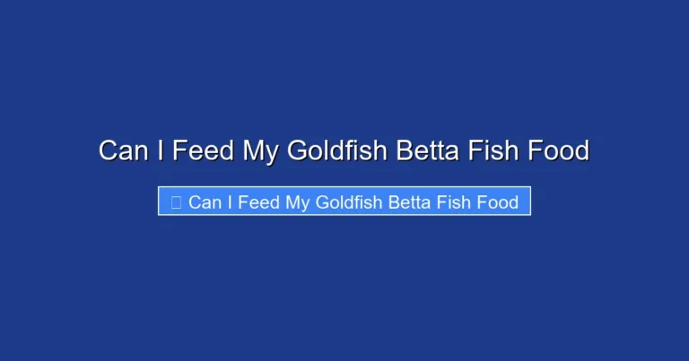 Can I Feed My Goldfish Betta Fish Food