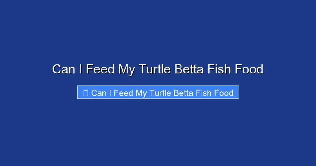 Can I Feed My Turtle Betta Fish Food