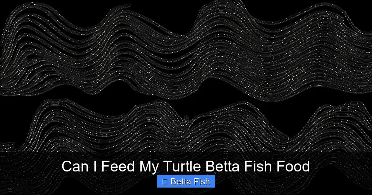 Can I Feed My Turtle Betta Fish Food