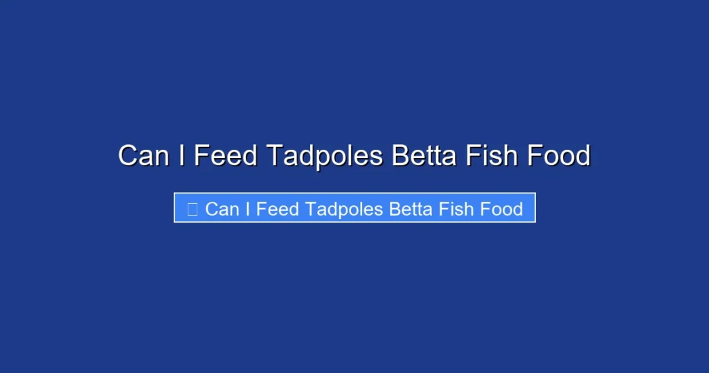 Can I Feed Tadpoles Betta Fish Food