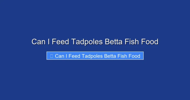 Can I Feed Tadpoles Betta Fish Food