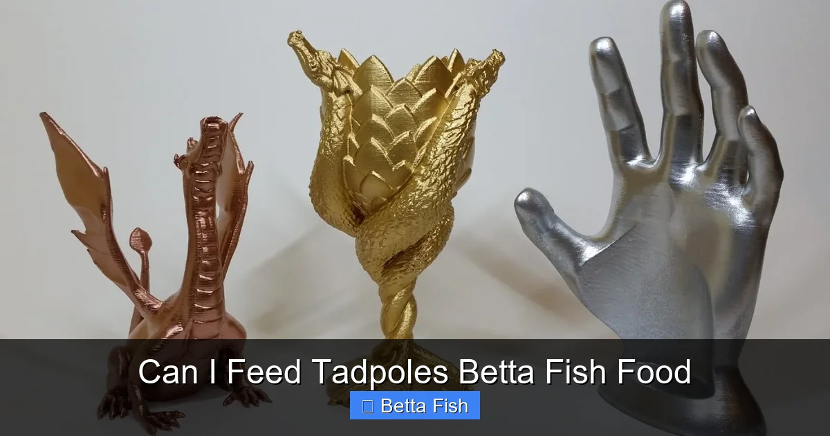 Can I Feed Tadpoles Betta Fish Food