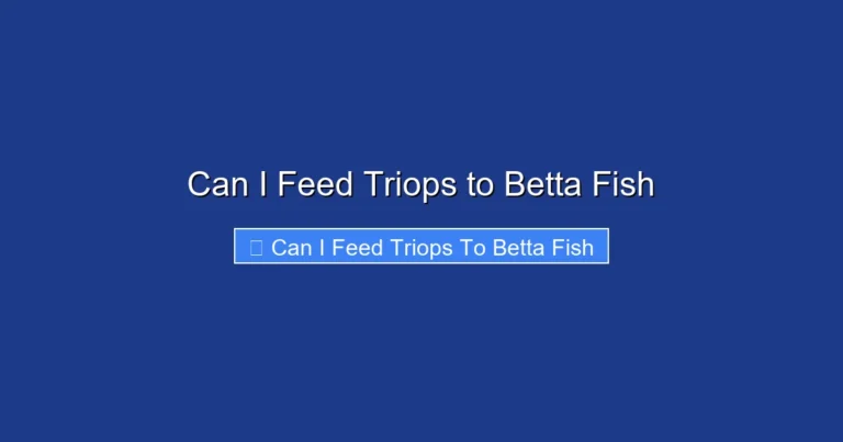 Can I Feed Triops to Betta Fish