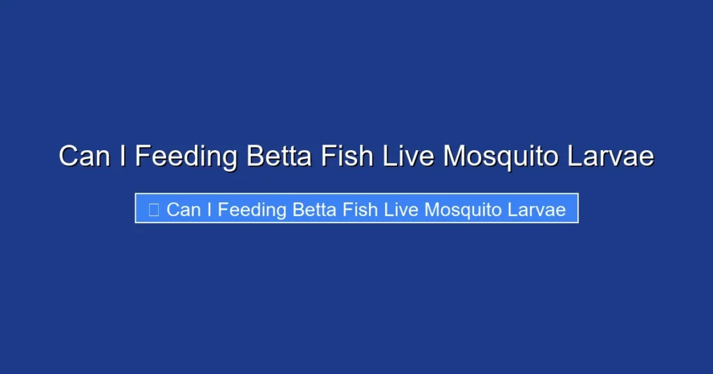 Can I Feeding Betta Fish Live Mosquito Larvae