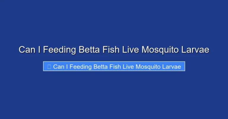 Can I Feeding Betta Fish Live Mosquito Larvae