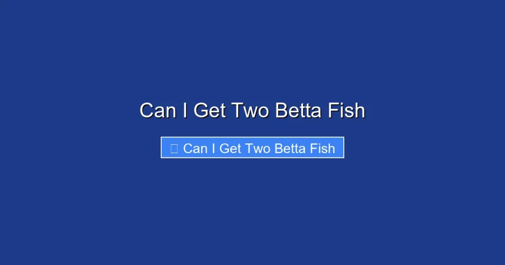 Can I Get Two Betta Fish