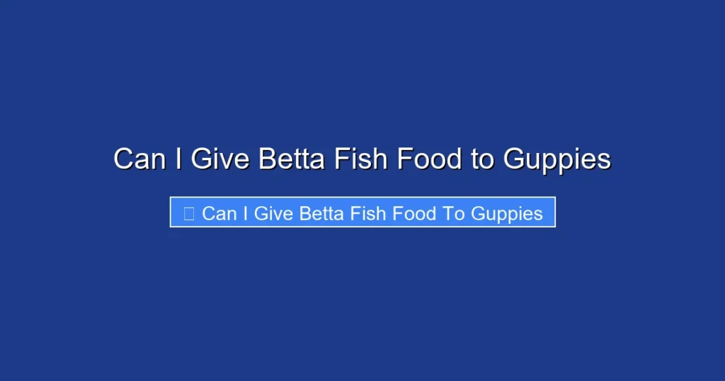 Can I Give Betta Fish Food to Guppies
