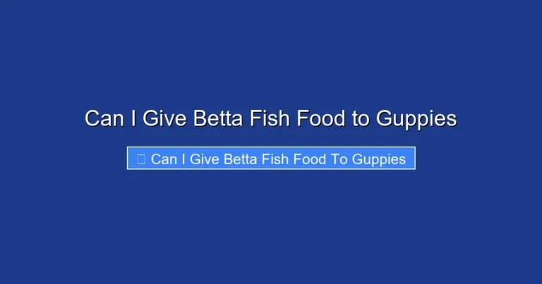 Can I Give Betta Fish Food to Guppies