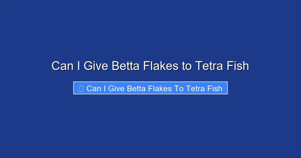 Can I Give Betta Flakes to Tetra Fish