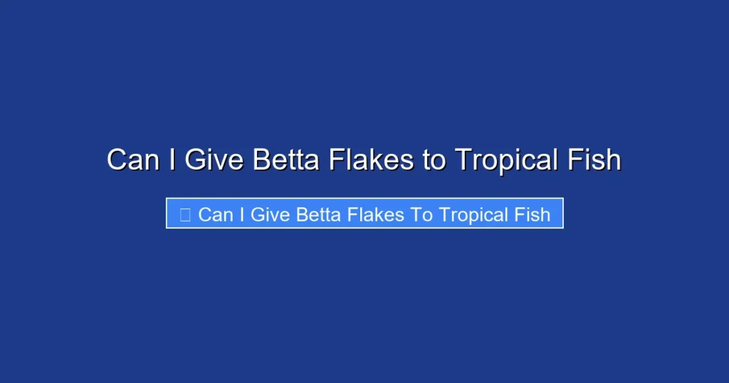 Can I Give Betta Flakes to Tropical Fish