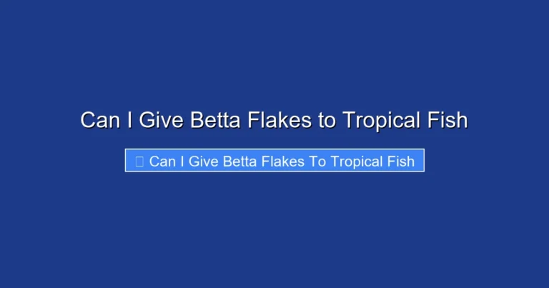 Can I Give Betta Flakes to Tropical Fish
