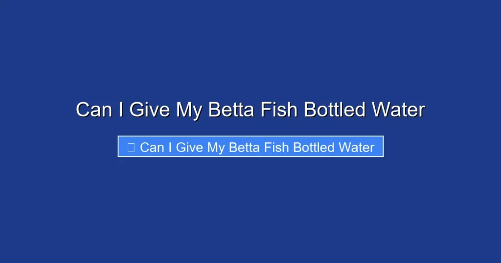 Can I Give My Betta Fish Bottled Water