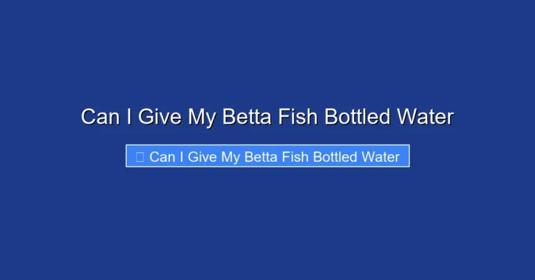 Can I Give My Betta Fish Bottled Water