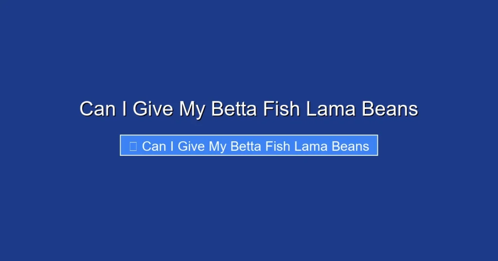 Can I Give My Betta Fish Lama Beans