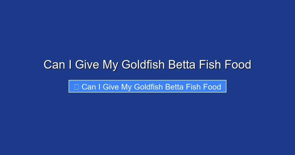 Can I Give My Goldfish Betta Fish Food