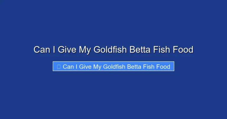 Can I Give My Goldfish Betta Fish Food