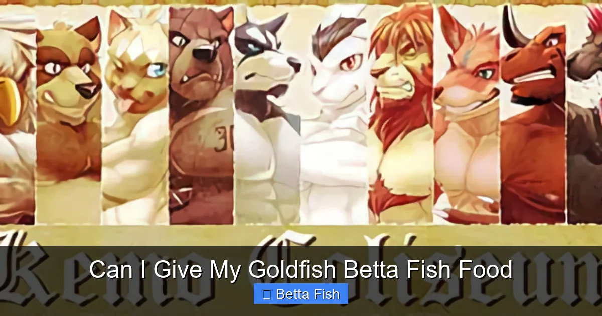Can I Give My Goldfish Betta Fish Food