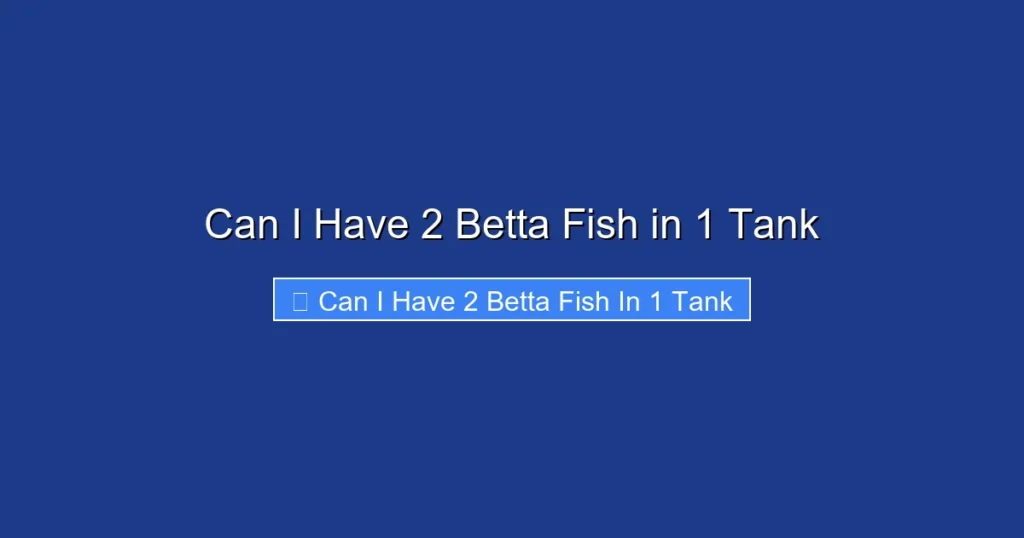 Can I Have 2 Betta Fish in 1 Tank