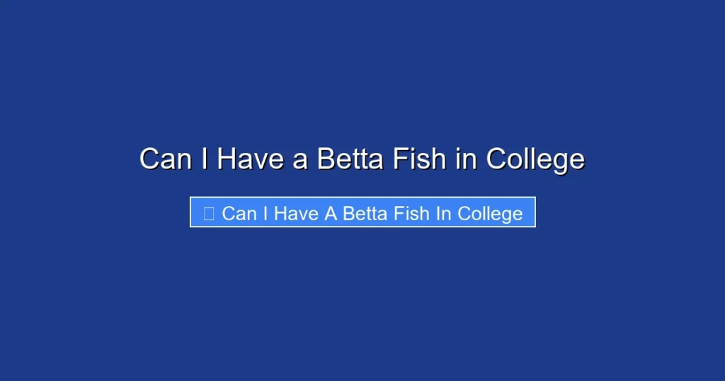 Can I Have a Betta Fish in College