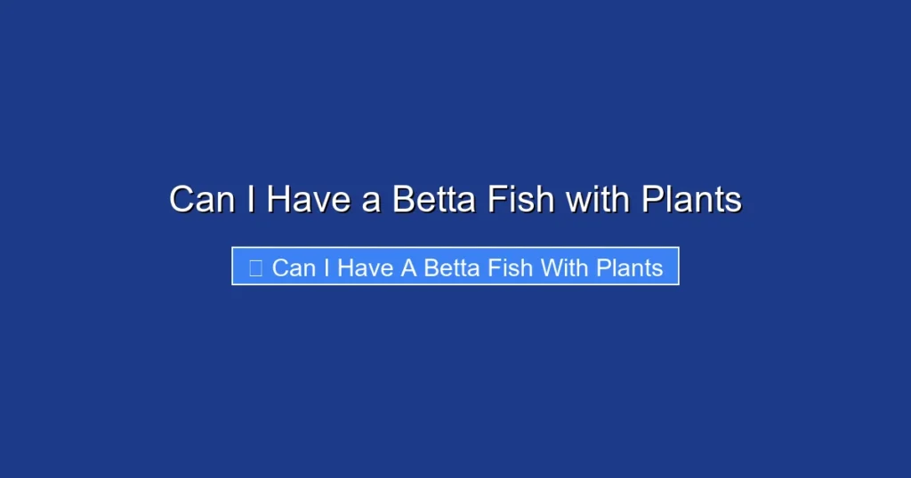 Can I Have a Betta Fish with Plants