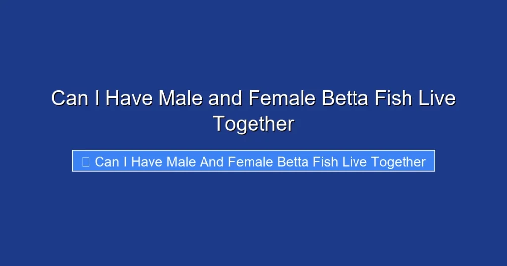 Can I Have Male and Female Betta Fish Live Together